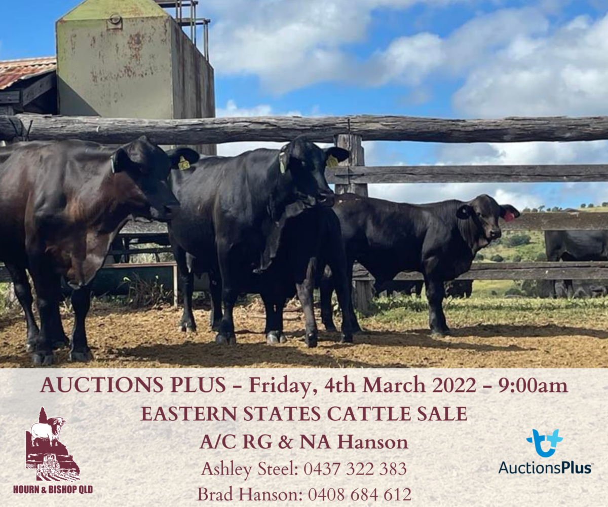 AUCTIONS PLUS 04/03/2022 Hourn & Qld