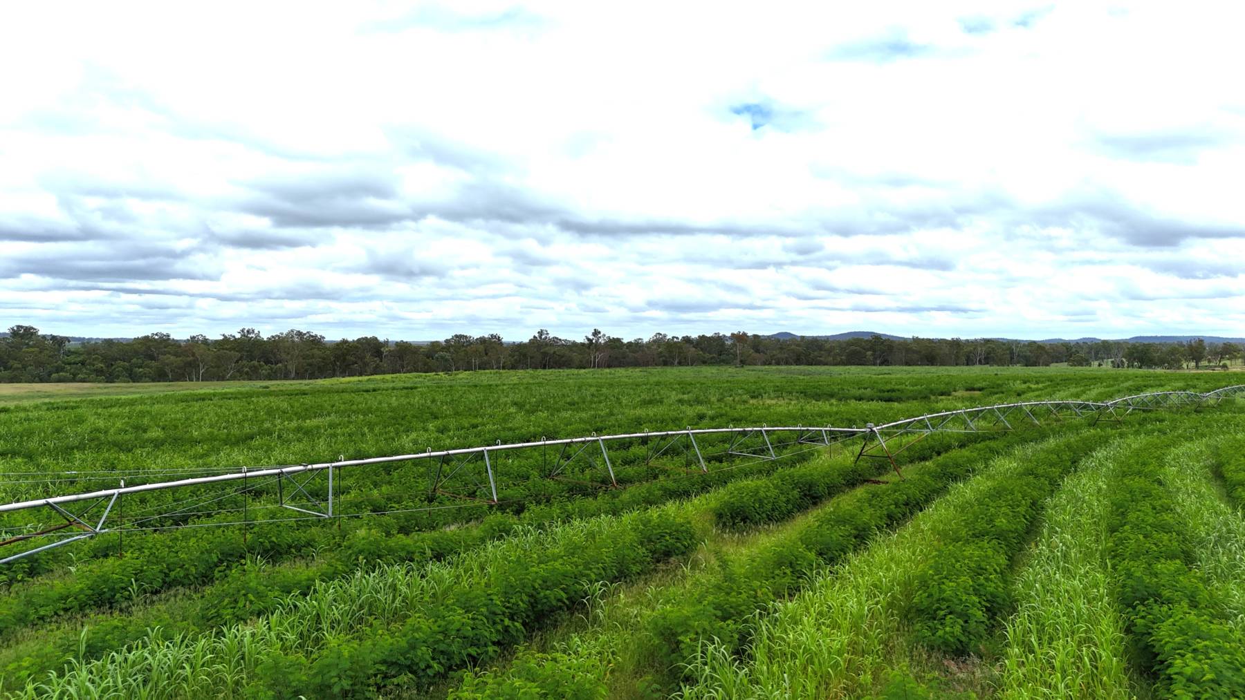 "WOODLANDS", EIDSVOLD QLD - Hourn & Bishop Qld