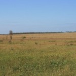 IMG_2888