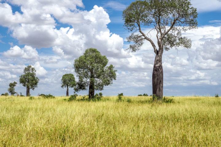 Newlands, Duaringa