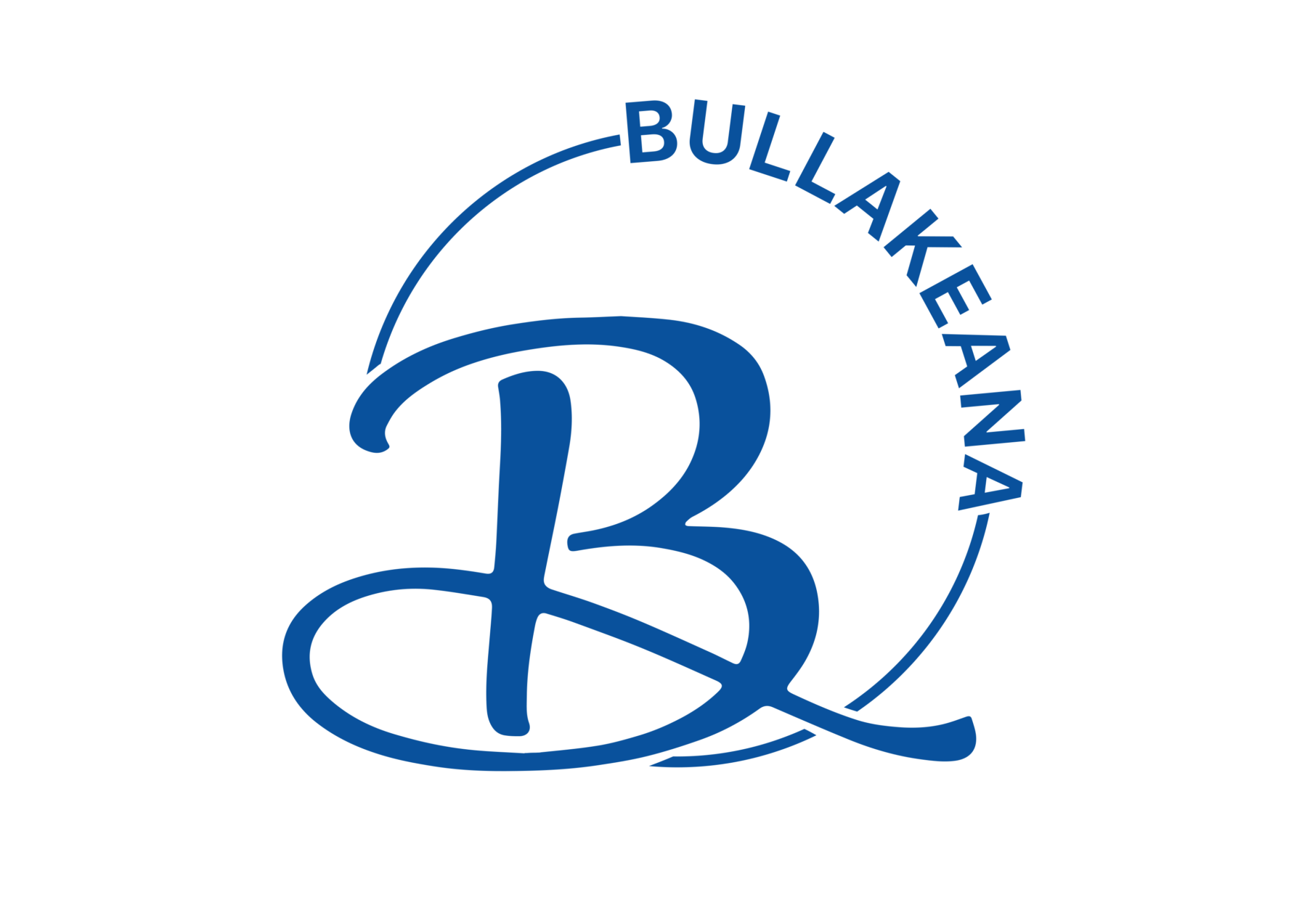 BULLAKEANA BRANGUS & ULTRABLACKS OPEN DAY - Hourn & Bishop Qld