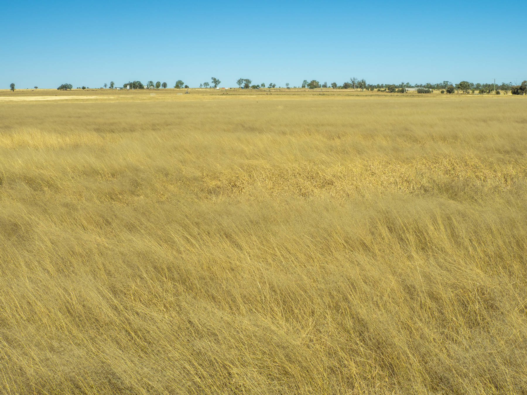 "AIRPORT PADDOCK", THEODORE QLD - Hourn & Bishop Qld