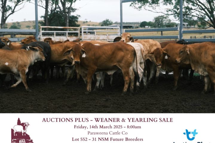 36 Future breeders Paraweena 14th march