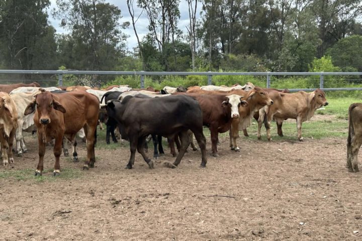 att.RxU4qr1FAmYUDIjXmioqvykGaEXVJOu-nqLTMT9twzw